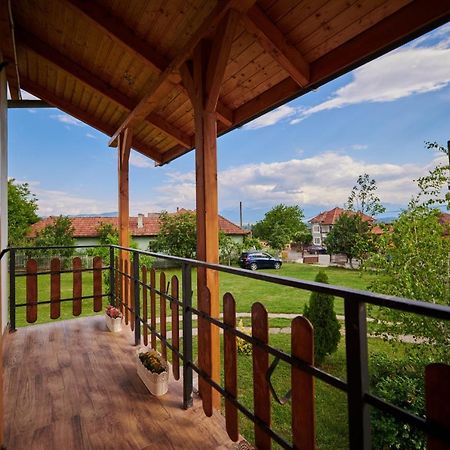 Vila Tara Hategului Экстерьер фото