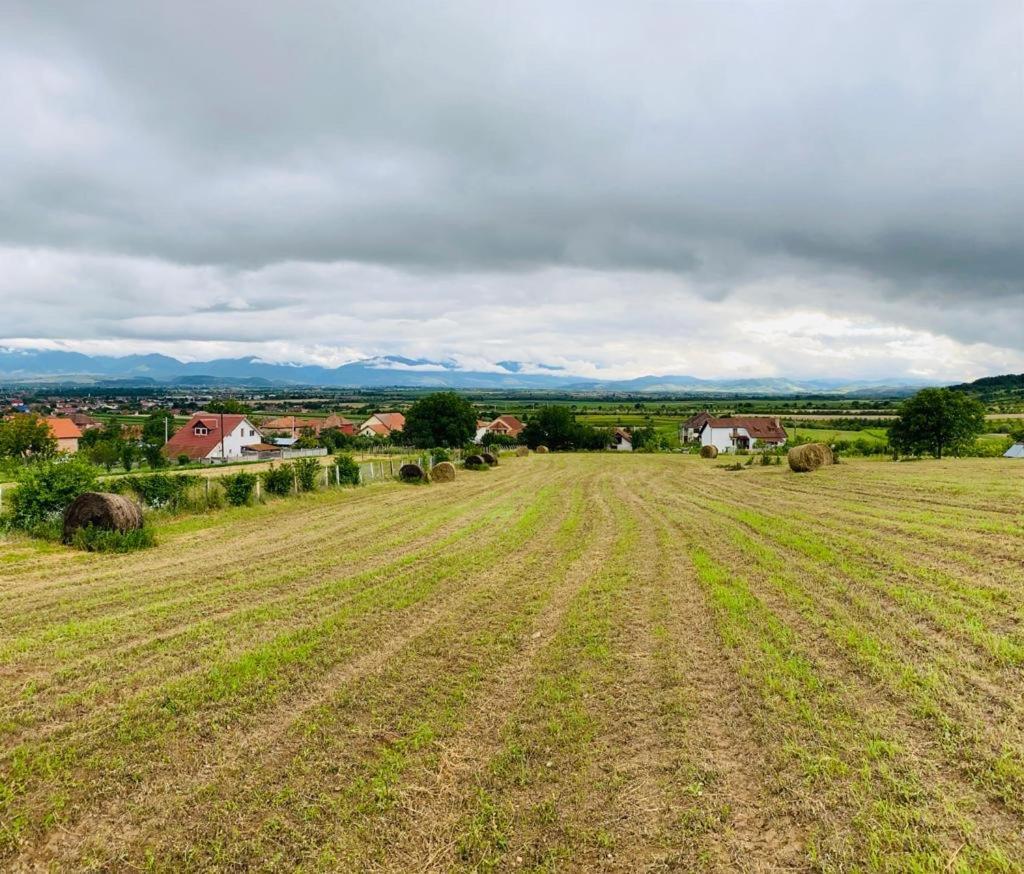 Vila Tara Hategului Экстерьер фото