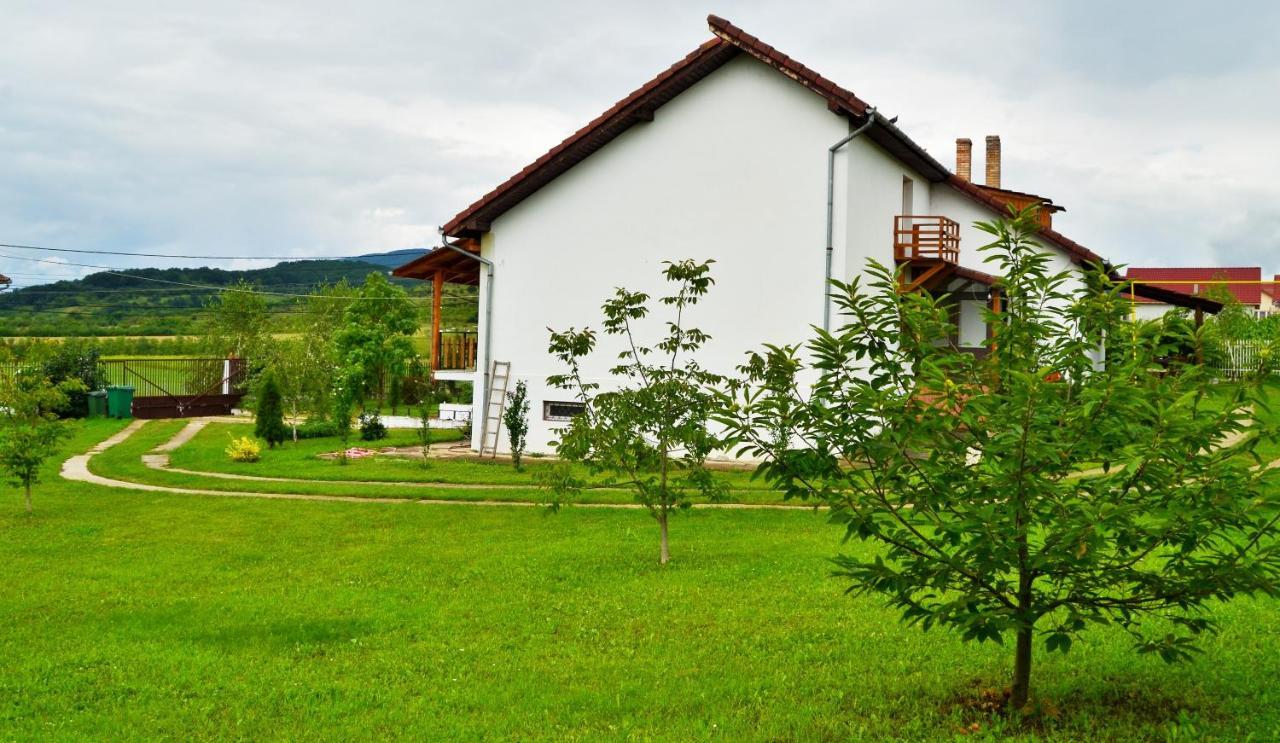 Vila Tara Hategului Экстерьер фото