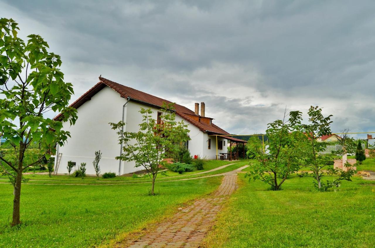Vila Tara Hategului Экстерьер фото