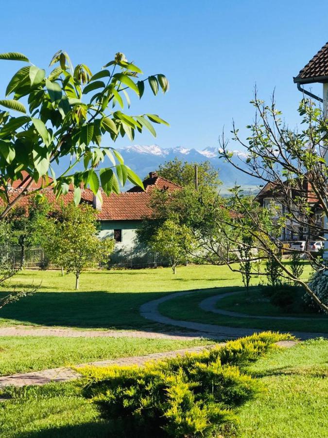 Vila Tara Hategului Экстерьер фото