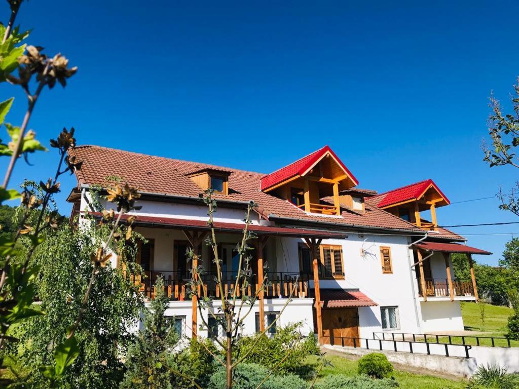 Vila Tara Hategului Экстерьер фото