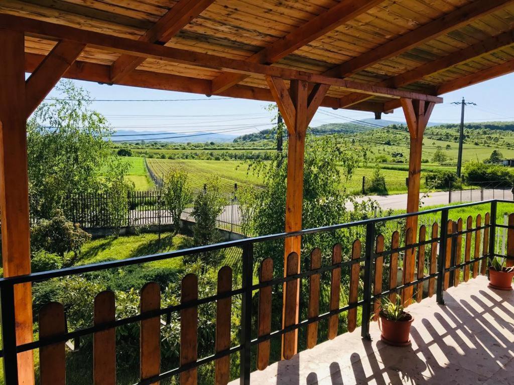 Vila Tara Hategului Экстерьер фото
