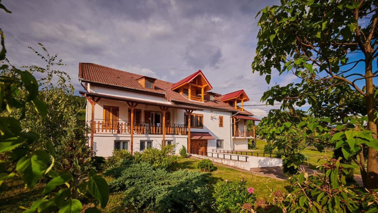 Vila Tara Hategului Экстерьер фото