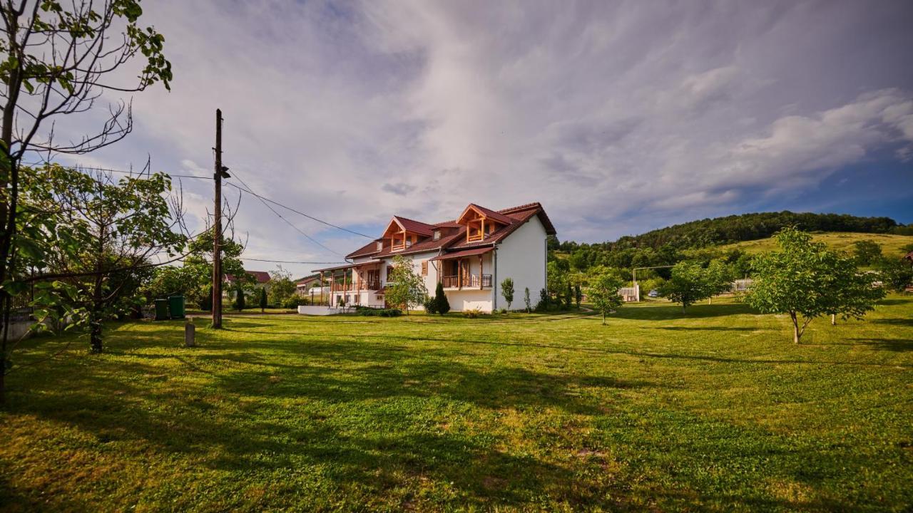 Vila Tara Hategului Экстерьер фото